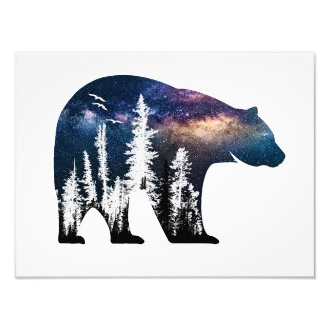 Brown Bear Animal Wild Forest Jungle Nature World Photo Print (Front)