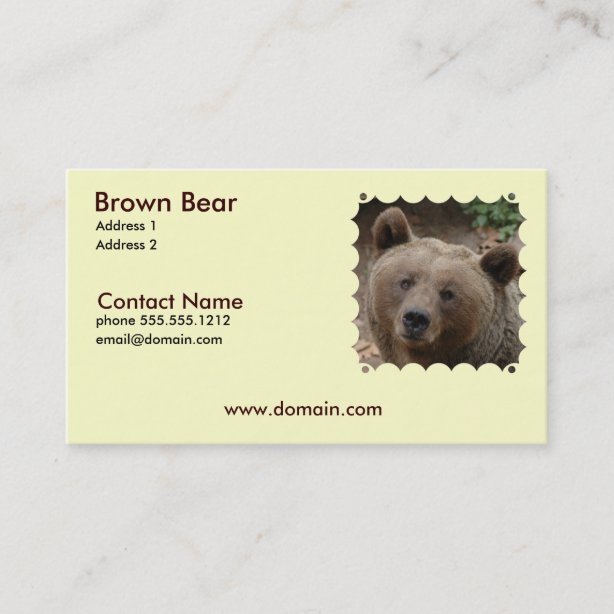 Animals Wild Bears Brown Business Cards | Zazzle AU