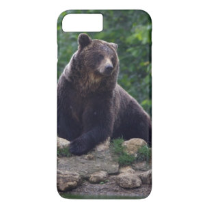 Brown bear iPhone 8 plus/7 plus case