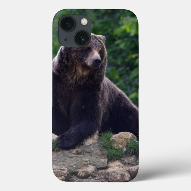 Brown bear Case-Mate iPhone case (Back)