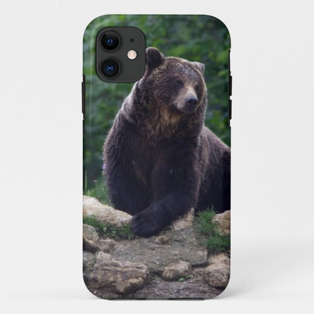 Brown bear Case-Mate iPhone case (Back)