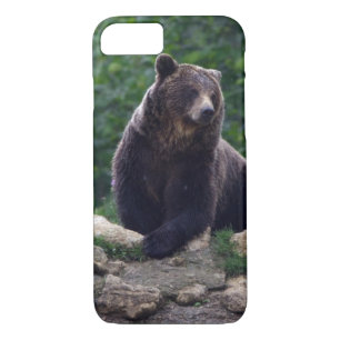 Brown bear iPhone 8/7 case