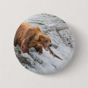 Brown Bear Catches Red Salmon 6 Cm Round Badge
