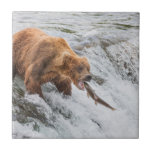 Brown Bear Catches Red Salmon Ceramic Tile<br><div class="desc">Brown bears fish for red salmon at the falls of the Brooks River,  Katmai National Park,  southwest,  Alaska.</div>