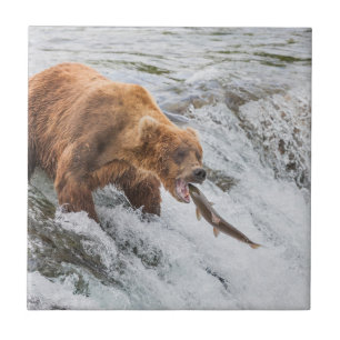 Brown Bear Catches Red Salmon Ceramic Tile