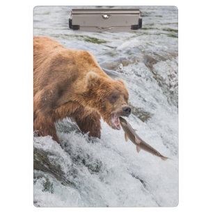 Brown Bear Catches Red Salmon Clipboard