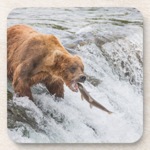 Brown Bear Catches Red Salmon Coaster