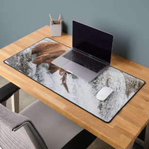 Brown Bear Catches Red Salmon Desk Mat
