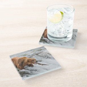 Brown Bear Catches Red Salmon Glass Coaster