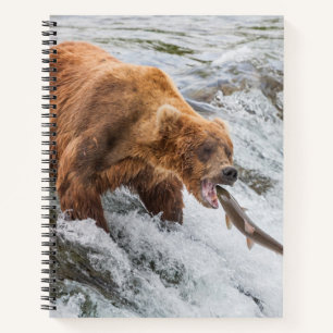 Brown Bear Catches Red Salmon Notebook