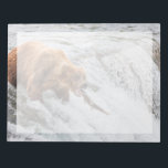 Brown Bear Catches Red Salmon Notepad<br><div class="desc">Brown bears fish for red salmon at the falls of the Brooks River,  Katmai National Park,  southwest,  Alaska.</div>