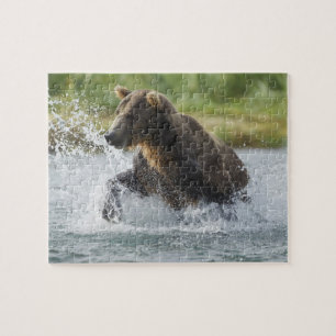 Brown Bear chasing salmon in river Jigsaw Puzzle