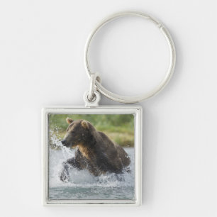 Brown Bear chasing salmon in river Key Ring