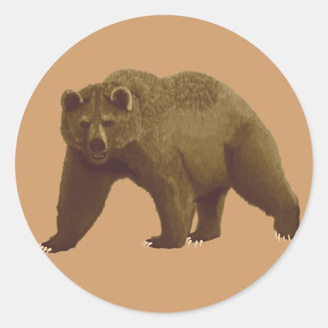 Brown Bear Classic Round Sticker (Front)