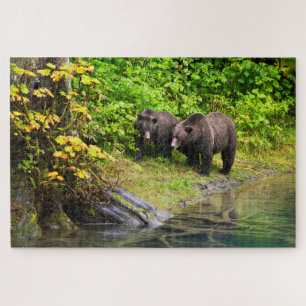 Brown Bear & Cub   Hyder, Alaska Jigsaw Puzzle