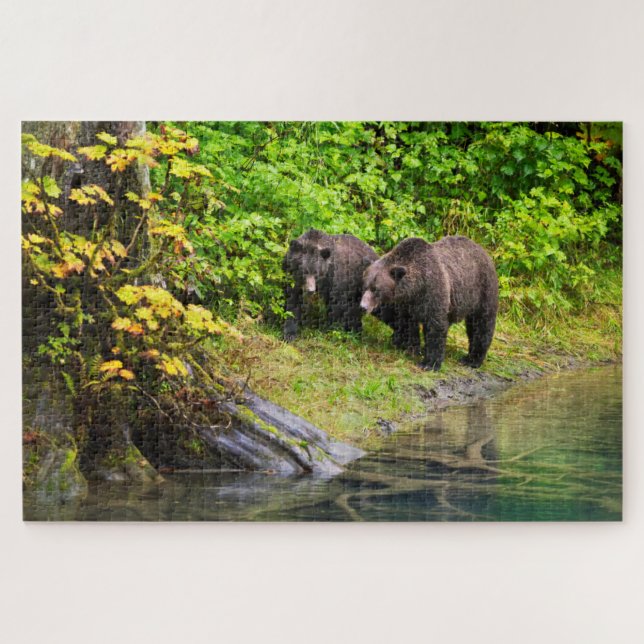 Brown Bear & Cub | Hyder, Alaska Jigsaw Puzzle (Horizontal)