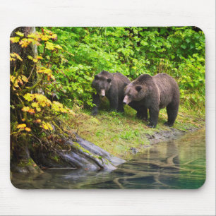 Brown Bear & Cub   Hyder, Alaska Mouse Pad