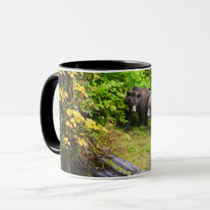 Brown Bear & Cub   Hyder, Alaska Mug