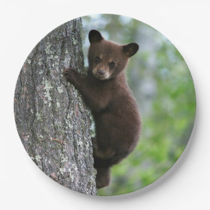 Brown Bear Cub Tree Photo Paper Plate