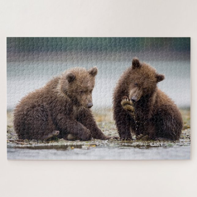 Brown Bear Cubs by the Stream Jigsaw Puzzle (Horizontal)