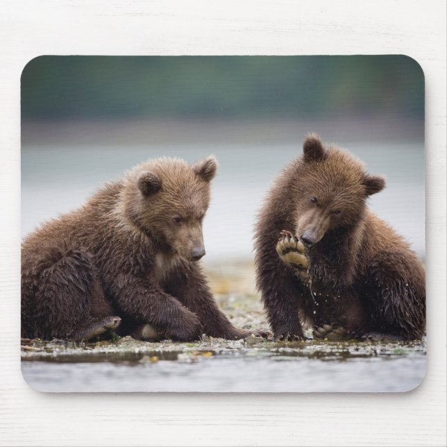 Brown Bear Cubs by the Stream Mouse Pad (Front)