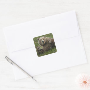Brown Bear Cubs Cuddling with their Mother Square Sticker