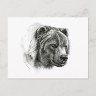 Brown Bear design by Schukina G054 Postcard