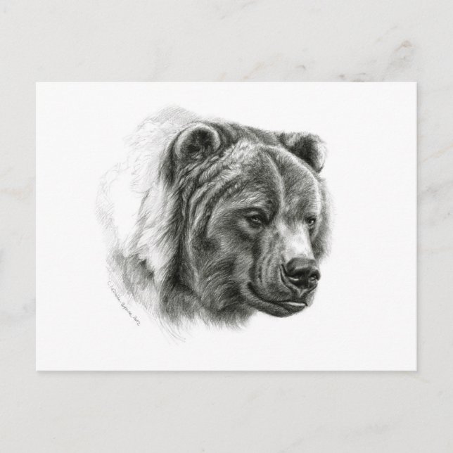 Brown Bear design by Schukina G054 Postcard (Front)
