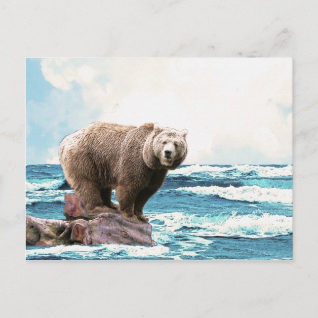 Brown Bear Exploring the Ocean! Postcard (Front)