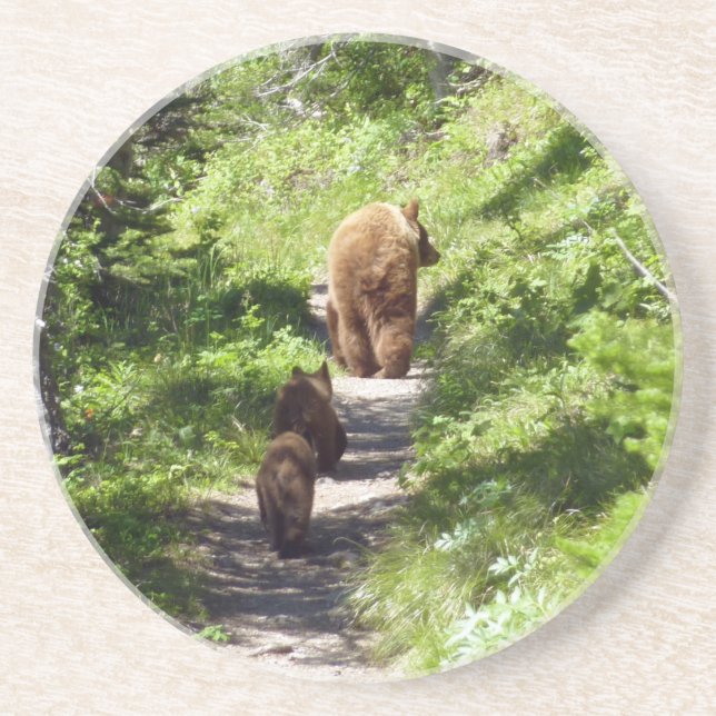 Brown Bear Family Coaster (Front)