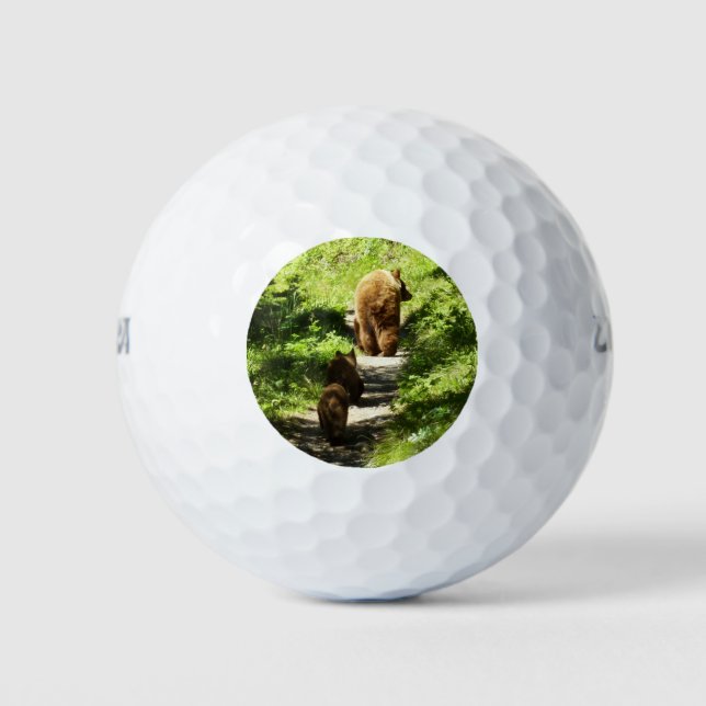 Brown Bear Family Golf Balls (Front)