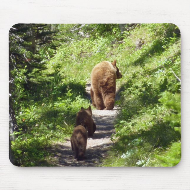 Brown Bear Family Mouse Pad (Front)