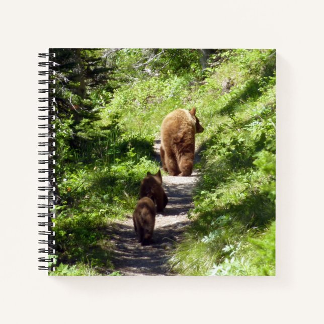 Brown Bear Family Notebook (Front)