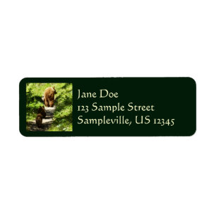 Brown Bear Family Return Address Label