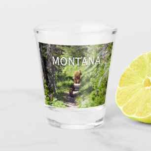 Brown Bear Family Shot Glass