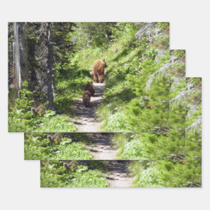 Brown Bear Family Wrapping Paper Sheet