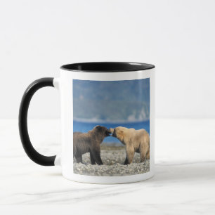 Brown bear, grizzly bear, play on the beach, mug