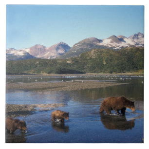 Brown bear, grizzly bear, sow and cubs in ceramic tile