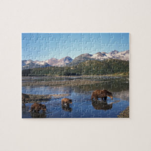 Brown bear, grizzly bear, sow and cubs in jigsaw puzzle