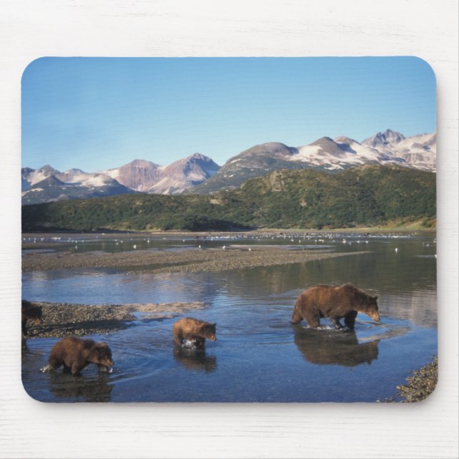 Brown bear, grizzly bear, sow and cubs in mouse pad (Front)
