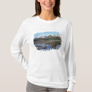 Brown bear, grizzly bear, sow and cubs in T-Shirt
