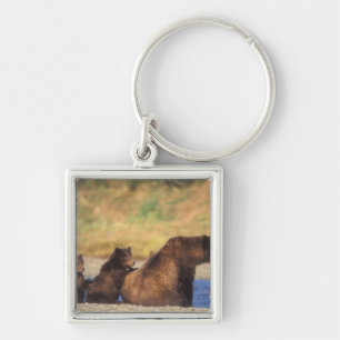 Brown bear, grizzly bear, sow with cubs, key ring