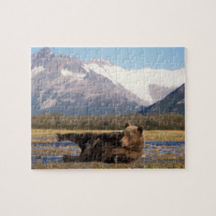 Brown bear, grizzly bear stretching on its back jigsaw puzzle