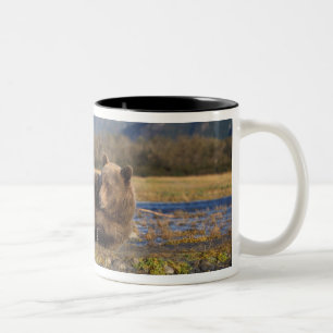 Brown bear, grizzly bear stretching on its back Two-Tone coffee mug