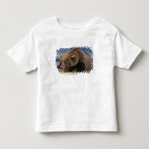 Brown bear, grizzly bear, taking a nap, Katmai Toddler T-Shirt