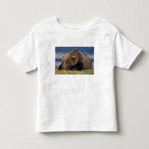 Brown bear, grizzly bear, taking a nap, Katmai Toddler T-Shirt