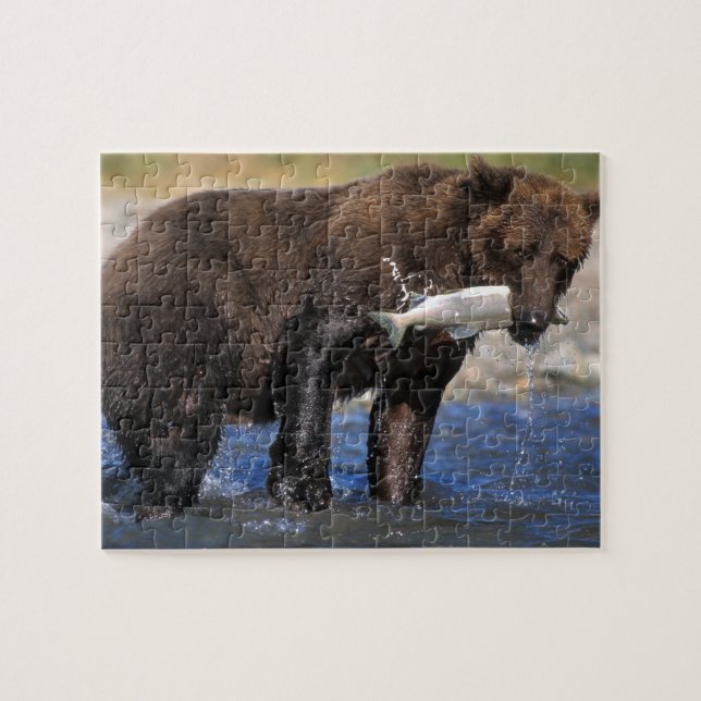 Brown bear, grizzly bear, with salmon catch, jigsaw puzzle (Horizontal)