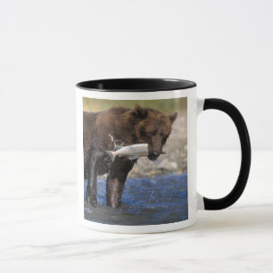 Brown bear, grizzly bear, with salmon catch, mug