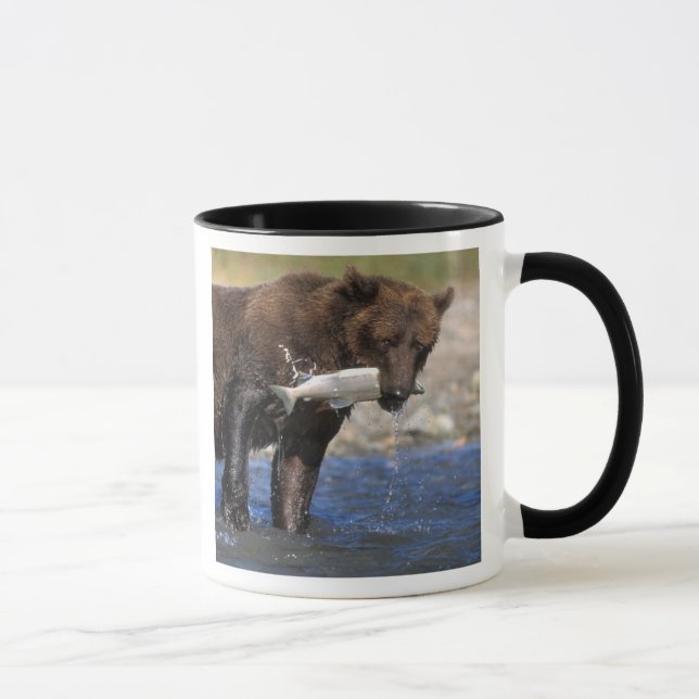 Brown bear, grizzly bear, with salmon catch, mug (Right)