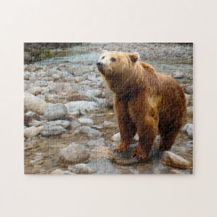 Brown Bear in Stream Jigsaw Puzzle